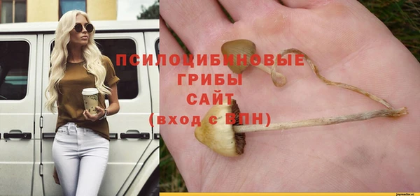 амф Алексеевка